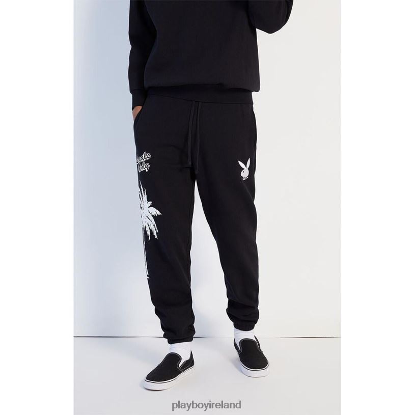 Playboy Men PB PALMS SWEATPANT HBFB570 Clothing Black