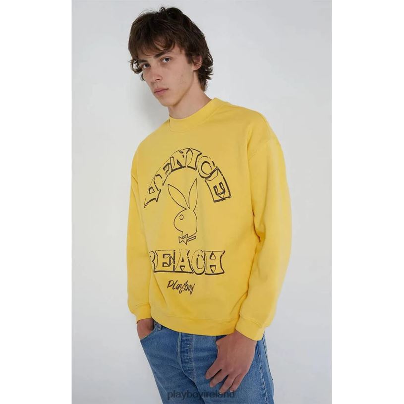 Playboy Men PB VENICE BEACH CREWNECK Yellow HBFB368 Clothing Original